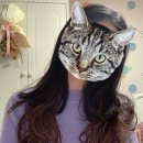 블레싱헤어 이미지
