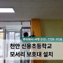 천안신용초등학교 이미지