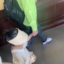 다낭/호이안 바나힐 투어 2번째 방문 (케이블카, 골든브릿지, 스타벅스, 루지, 놀이동산, 롯데리아 점심)
