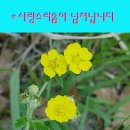 솜사랑 이미지