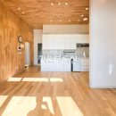 코델리아 이미지