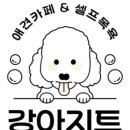강아지트 이미지