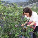 비봉슈퍼 이미지