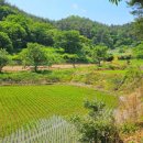 (합)강원환경 이미지