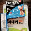 경충대로2675번길 | 경기도 이천시 약국 추천 BEST 6곳, 열린 약국, 토요일, 일요일, 공휴일, 심야