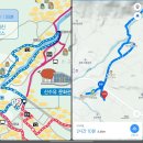 내리마을회관 | 루트와 실시간 개화 상태 (feat. 산수유 사랑공원>반곡>대양>하위>상위>월계마을 도보 한바퀴 소요시간)