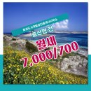 송산면부동산공인중개사사무소 이미지