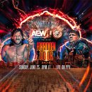 그랜드다마클럽 | AEW x NJPW 포비든 도어 2023 - 경기 별점 / 감상평 / 리뷰 / 후기