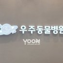 윤동물병원 이미지