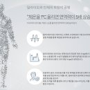 수목토일라이트 이미지