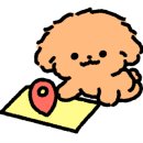 무티티(mutt) 이미지
