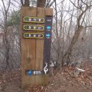 양지7리(양지@) 이미지