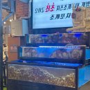 엔비넷 | [파뿌리 맛집] 오이도 가볼만한 숙소 제철 쭈꾸미 구이 - 오이도 조개포차 리얼후기