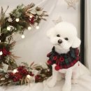 엠케이그루밍샵 이미지