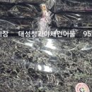 대성건어물 이미지