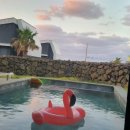 대정시크릿 이미지