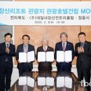 대일관광 이미지