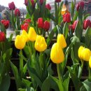 명인행정사 이미지