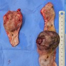 태백동물병원 이미지