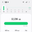 오로지닭 | 다이어트 전 강릉, 먹기 위해 운동, 내돈내산 강릉먹방, 배니닭강정 솔직후기