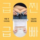 오늘점핑다이어트