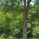 손기정문화체육센터 이미지