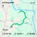 경기둘레길 여주36코스 | 2025.10.18.경기둘레길36코스 - 스마일님 공지 - 숲의 청량함과 강물의 시원함을 담은 바람을 맞이한 산책