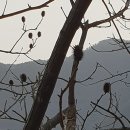 향기만드는가게 이미지
