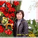 국화호수 이미지