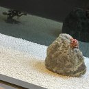 스시쇼우키