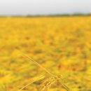 도경축산 이미지