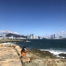 털보상회 | 불량주부에게 추석이란