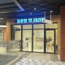 블루멍 펫 테라피 이미지