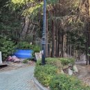 물만골선지집 이미지