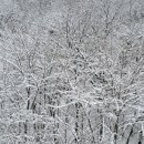 예움도서관 이미지