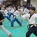 도원결의태권도 이미지