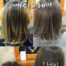 그레이헤어하우스 이미지