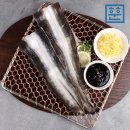 싱싱민물장어세상 | 손질 완료! 통통 민물장어, 훈훈수산! 오늘 저녁 몸보신!