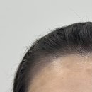 프리모르 이미지