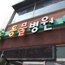 송동물병원 이미지