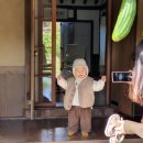쉬고팡 민박 네이버블로그