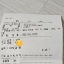 이영수 고양이 병원 이미지