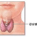 허미숙한의원 이미지