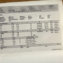 24주 이대서울 임당검사 후기, 이대서울 정밀 초음파 검사 과정 총정리