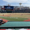 시범식당 - 고양시 덕양구 | 롯데 시범경기 관람 후기 ⚾ 중탁 1열 자리뷰 + 박수식당 음식 + 응원단 분위기