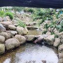 장자골민박 이미지