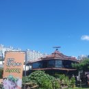 청해진의 꿈 네이버블로그
