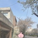 구로고대병원 이음관 | 전치태반 고대구로병원 산부인과 두번째후기(역아까지..?)