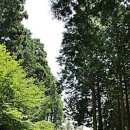 아리숲펜션 이미지