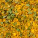 아이파크콘도 이미지